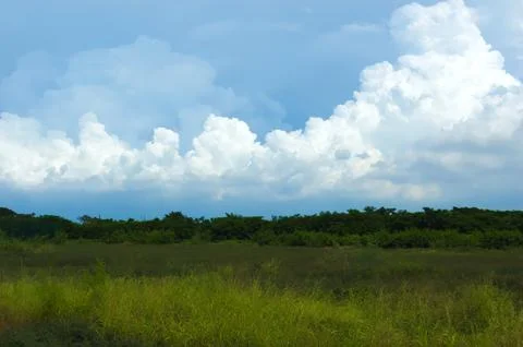 Empty land with grass against the backdrop of thick clouds in the blue summ.. Foto stock