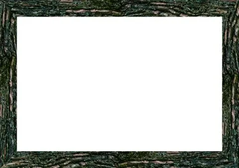 Empty Landscape Frame Background With Trunk Edges Stock Illustration
