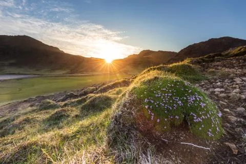 Empty landscape, Stock-Fotos