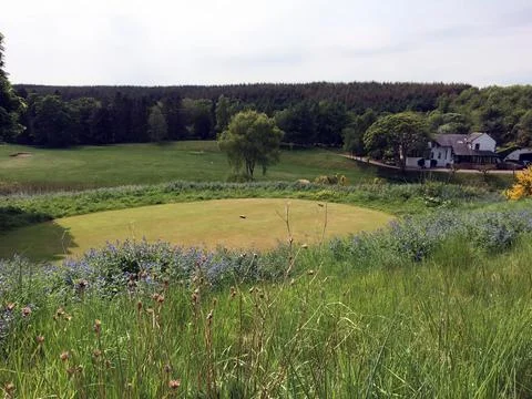 An empty large glade of a private golf club. Above her is a blue sky Stock Photos