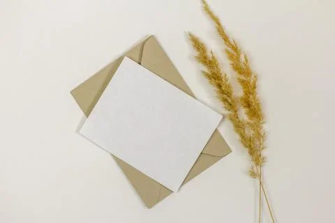 Empty layout of a greeting or invitation card on a light background. Stock Photos