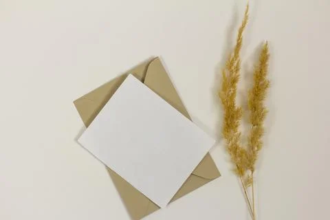 Empty layout of a greeting or invitation card on a light background. Stock Photos