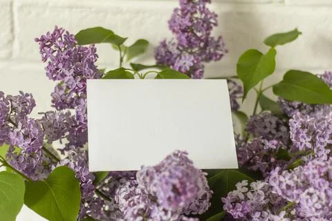 An empty layout of an invitation card or greeting card on a background of lil Stock Photos