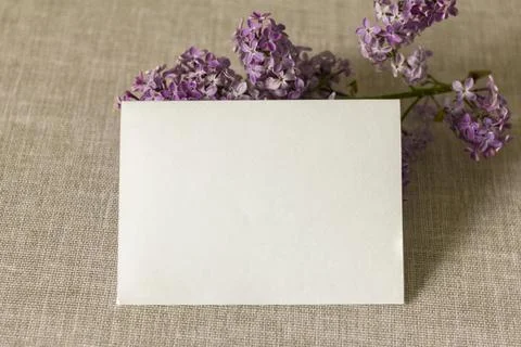 An empty layout of an invitation card or greeting card on a background of lil Stock Photos