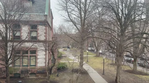 Empty library college campus 4k Quality video, 2021, empty college Video stock 151021481