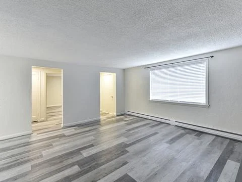 Empty living room Stock Photos