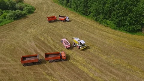 Empty Loading Trucks in Middle of Field Countryside are Preparing for Harvesting Stock Footage 127982724