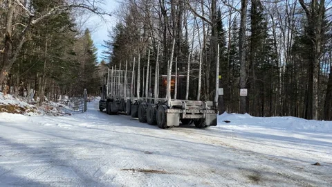Empty logging truck entering forest Stock Footage 167385572