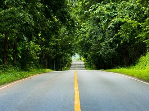 Empty long road is a crossing through green tree Stock Photos
