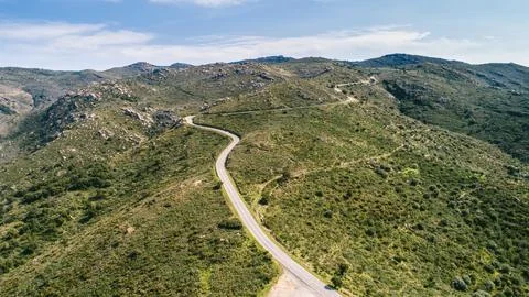 Empty long road on a sunny summer day at bright sunset Stock Photos
