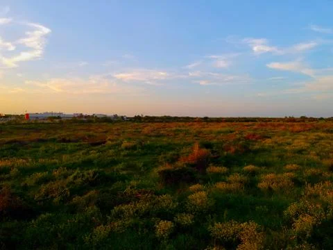 Empty Lot Stock Photos