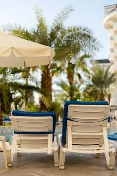 Empty lounge chairs sit by a pool under an umbrella, surrounded by palm tre.. Stock Photos