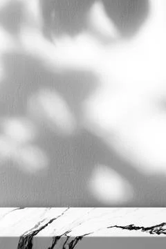 Empty Marble with Leaves Shadow on Wall in Vertical Background Stock Photos
