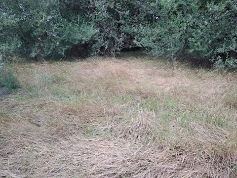 Empty meadow Stock Photos