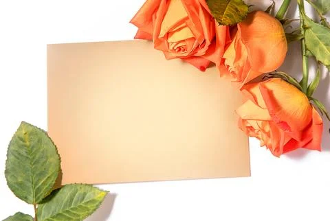 An empty message note with fresh flower roses isolated over white background Stock Photos