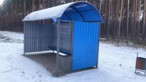 An empty metal bus stop along the forest in winter, light snow falling Stock Footage 302099075