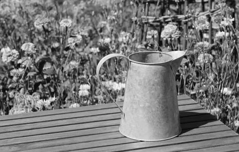 Empty metal pitcher on a table in a flower garden Stock Photos