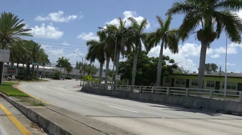 Empty Miami beach street Stock Footage 54919604