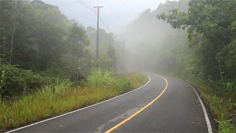 Empty misty road Stock Footage 288493895