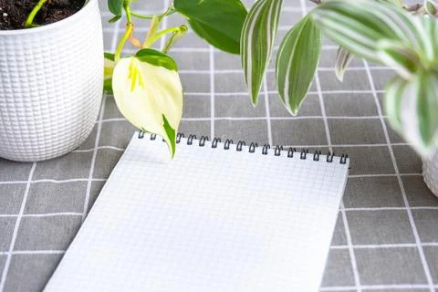 An empty mock up notebook with a pen on a table with home potted plants. Re.. Foto stock