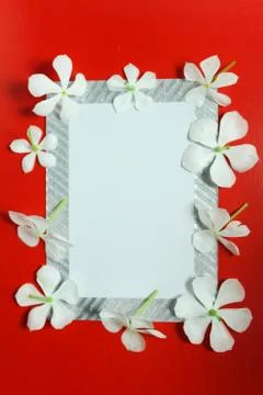 Empty mockup card with flowers and plants. Stock Photos