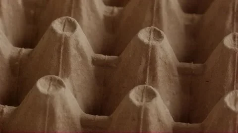 Empty molded paper egg carton slowly gliding forward close-up Video stock 320130436