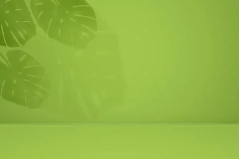 Empty monstera shadow texture pattern on green wall background Summer tropical Stock Photos