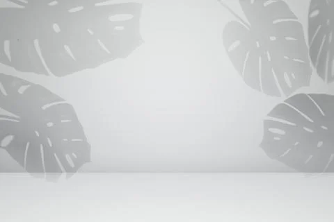 Empty monstera shadow texture pattern cement on grey wall background Summer Stock Photos