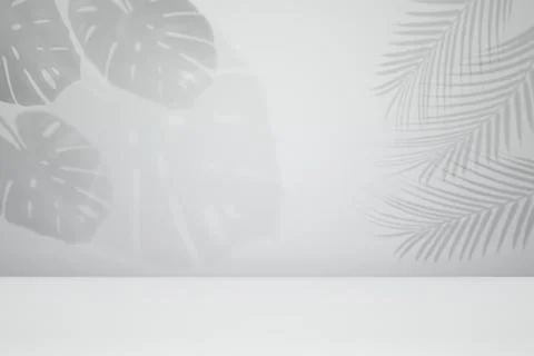 Empty monstera shadow texture pattern cement on grey wall background Summer Stock Photos