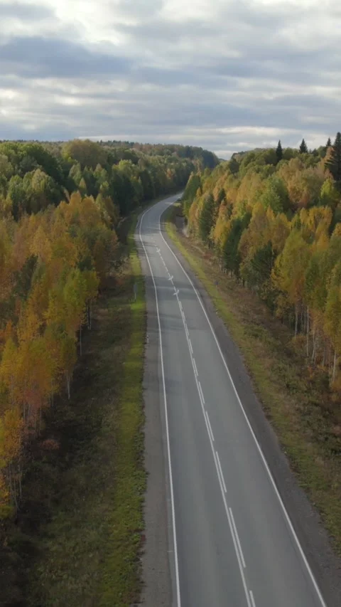 Empty mountain highway winding through colorful autumn forest in Ural Russia Video stock 346558790