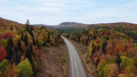 Empty mountain road drone view Stock Footage 231364240