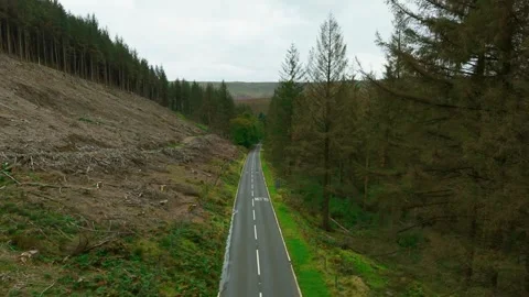 Empty mountain road leading through wild forest valley. Remote winding route Stock Footage 332219655