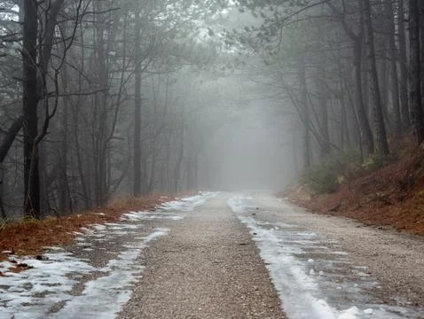 Empty mountain road through forest in Croatia 스톡 사진
