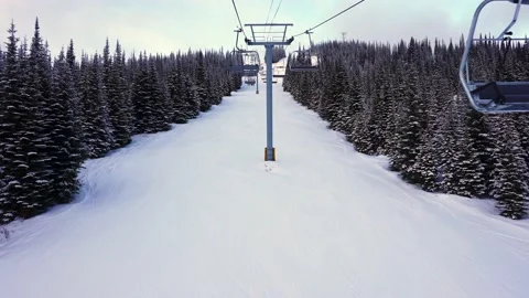 Empty moving cableway and trees in forest at night 库存影片 145333556