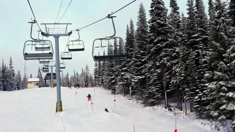 Empty moving cableway and trees in forest at night Stock Footage 145333716