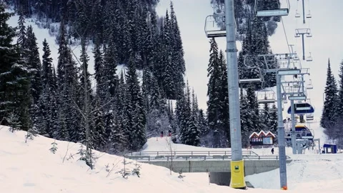 Empty moving cableway and trees in forest at night Stock Footage 145333924
