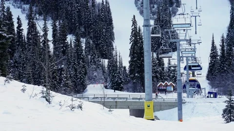 Empty moving cableway and trees in forest at night Stock Footage 145334050