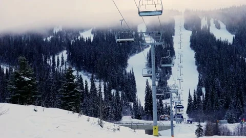Empty moving cableway and trees in forest at night Stock Footage 145334128