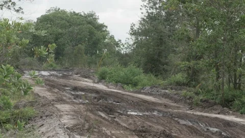 Empty muddy road with tire tracks in the countryside 스톡 동영상 160303359