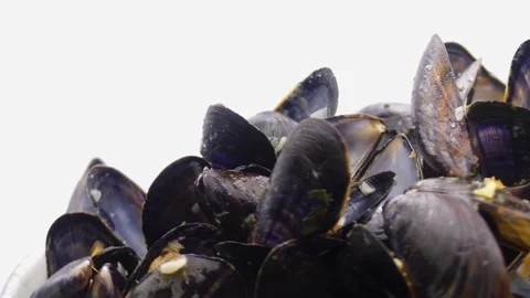 Empty mussel shell rotating on white background Stock-Footage 345492172