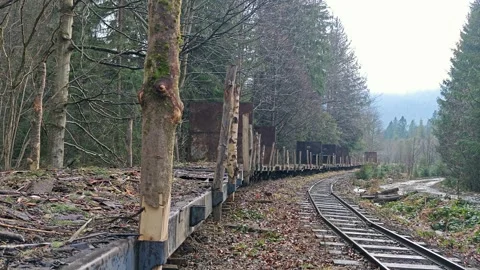 Empty Narrow-Gauge Logging Flatbed Wagons on Mountain Railway Stock Footage 335098919