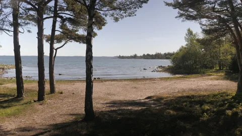 Empty natural beach surrounded by forest Stock Footage 132212128