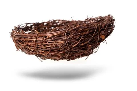 The Empty nest isolated on white background Foto stock
