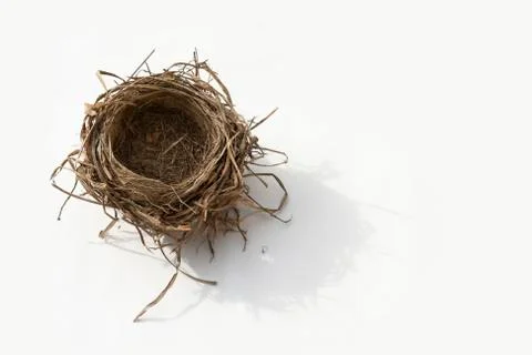 Empty nest Stock Photos