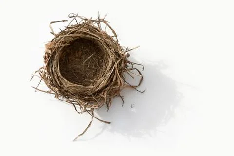 Empty nest Stock Photos