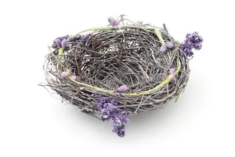 Empty nest Stock Photos