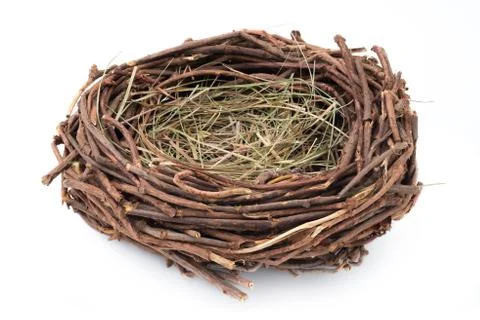 Empty nest Stock Photos