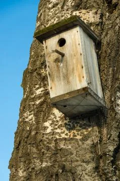Empty nesting box Stock Photos