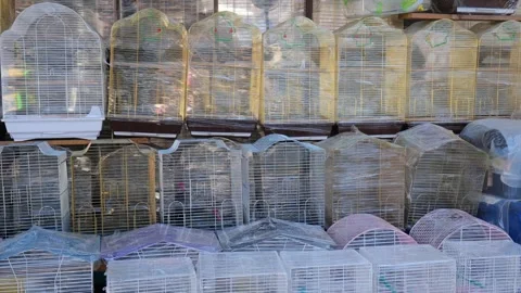 Empty New Bird Cages Displayed in Front of Pet Shop Stock Footage 331224813