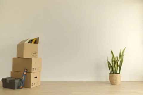 Empty new flat with moving boxes, tools and a plant. Fotos de archivo
